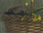 рис.9 натюрморт с грибами - фрагмент  Кликните для перехода к этому слайду